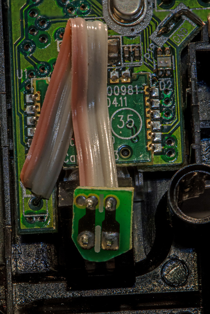 The Guts of a Mouse by farmreporter