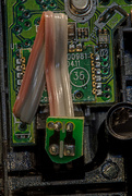 8th Nov 2020 - The Guts of a Mouse
