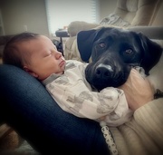 6th Nov 2020 - A Dog and her Boy