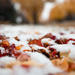 A Fall Snow by tina_mac