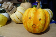 24th Oct 2020 - The pumpkin collection is growing....