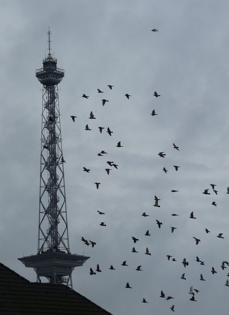 Memories: Funkturm Berlin (Berlin Radio Tower) by kclaire