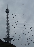 3rd Nov 2020 - Memories: Funkturm Berlin (Berlin Radio Tower)