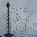 Memories: Funkturm Berlin (Berlin Radio Tower) by kclaire