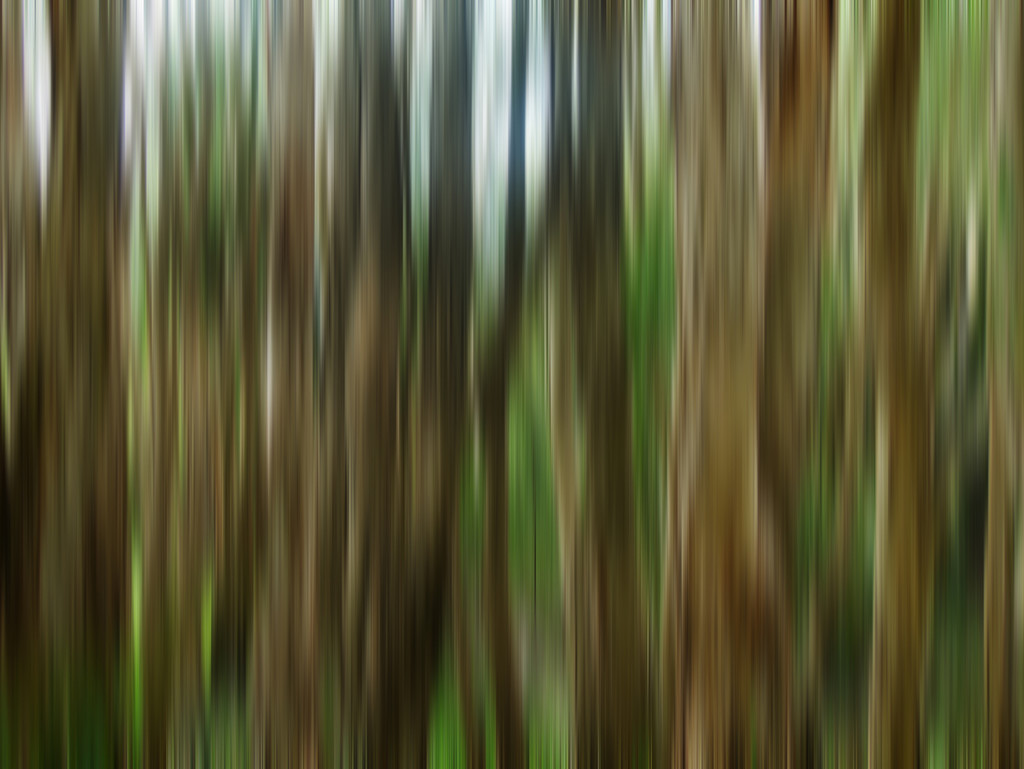 ICM Trees by onewing