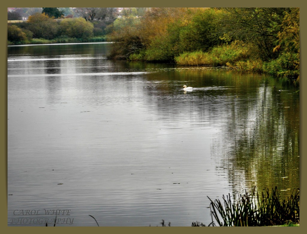 A Peaceful Lake by carolmw