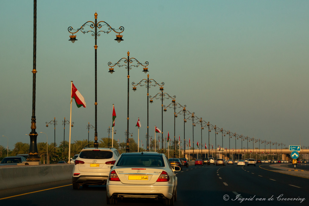 Streetlights and flags...  by ingrid01