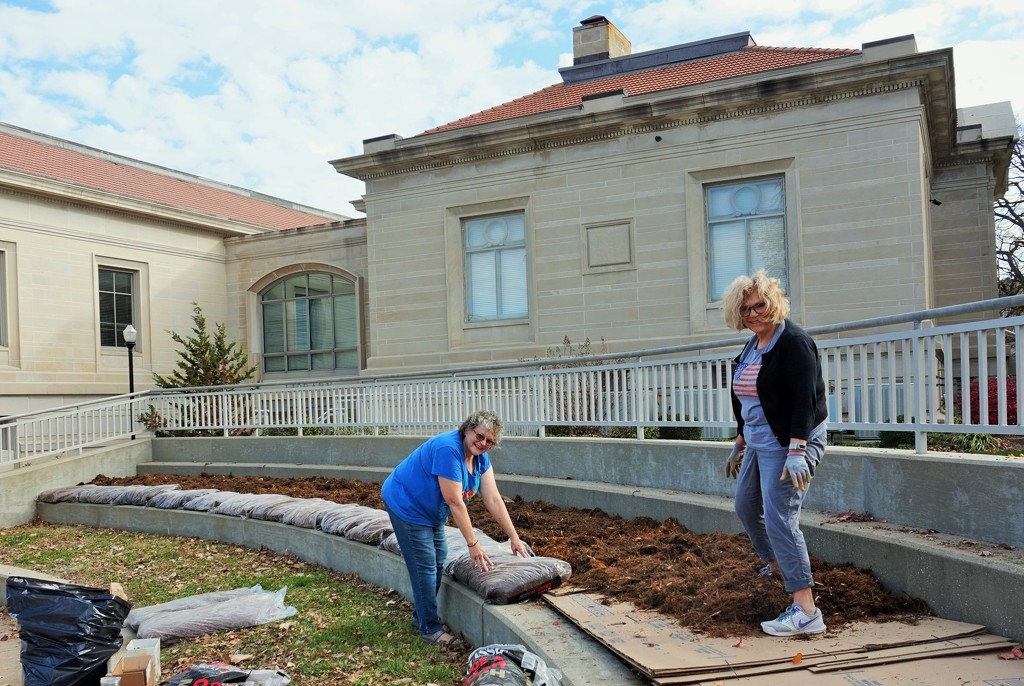 A new garden for the library by tunia