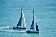 11th Nov 2020 - Twilight sailing regatta Sydney Harbour. 