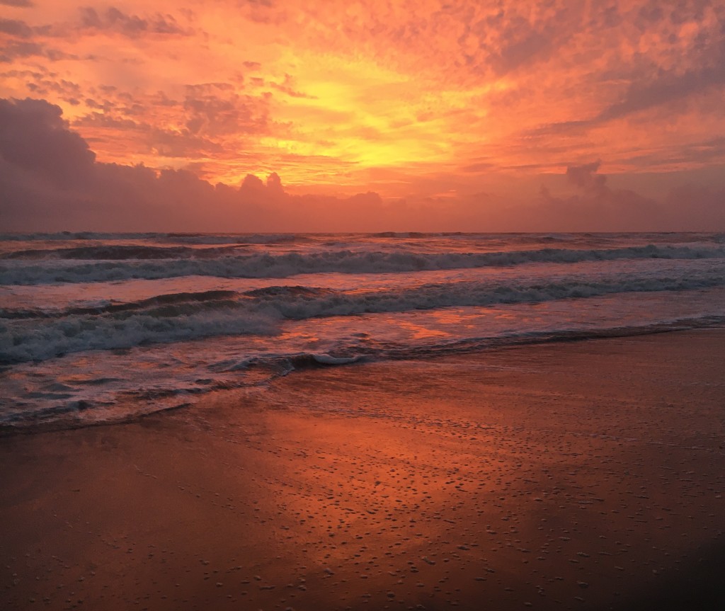 Beach Sunrise  by wilkinscd
