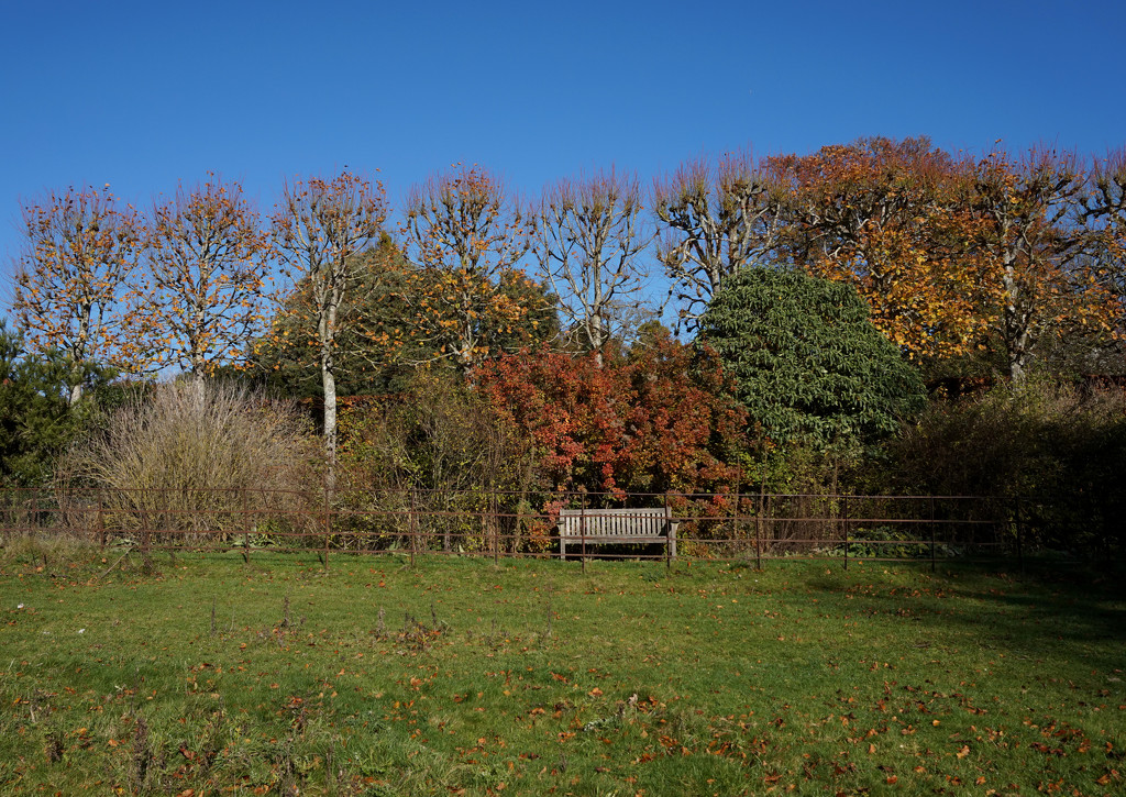 8th Nov Autumn Bench by valpetersen