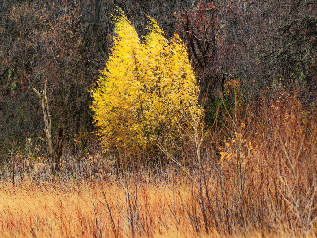 Autumn landscape by rminer