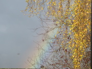 2nd Nov 2020 - Morning rainbow