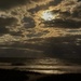 Hutchinson Island moonlight  by joesweet