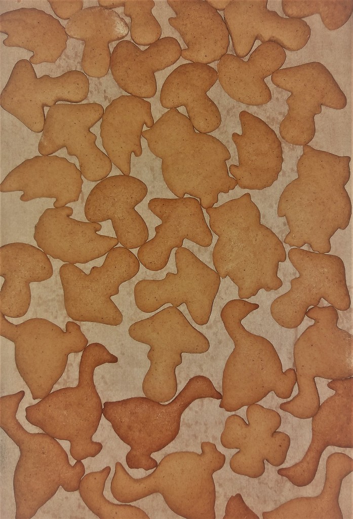 Night baking: Autumn gingerbread cookies. by kclaire