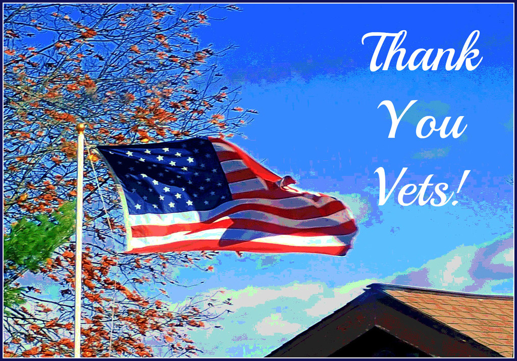 Thank You Vets 2020 by olivetreeann