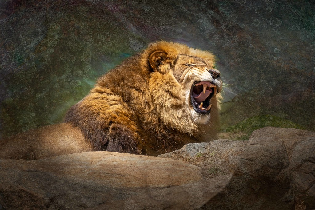 Roar! by pusspup