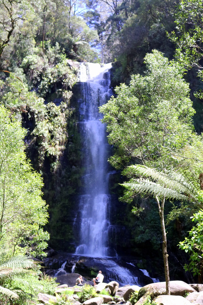Erskine Falls by gilbertwood