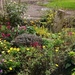 Colour in the garden  by flowerfairyann