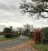 11th Nov 2020 - A small corner of Worcestershire