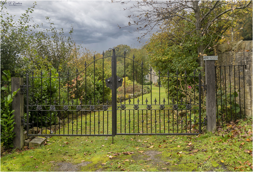 Back Gate by pcoulson