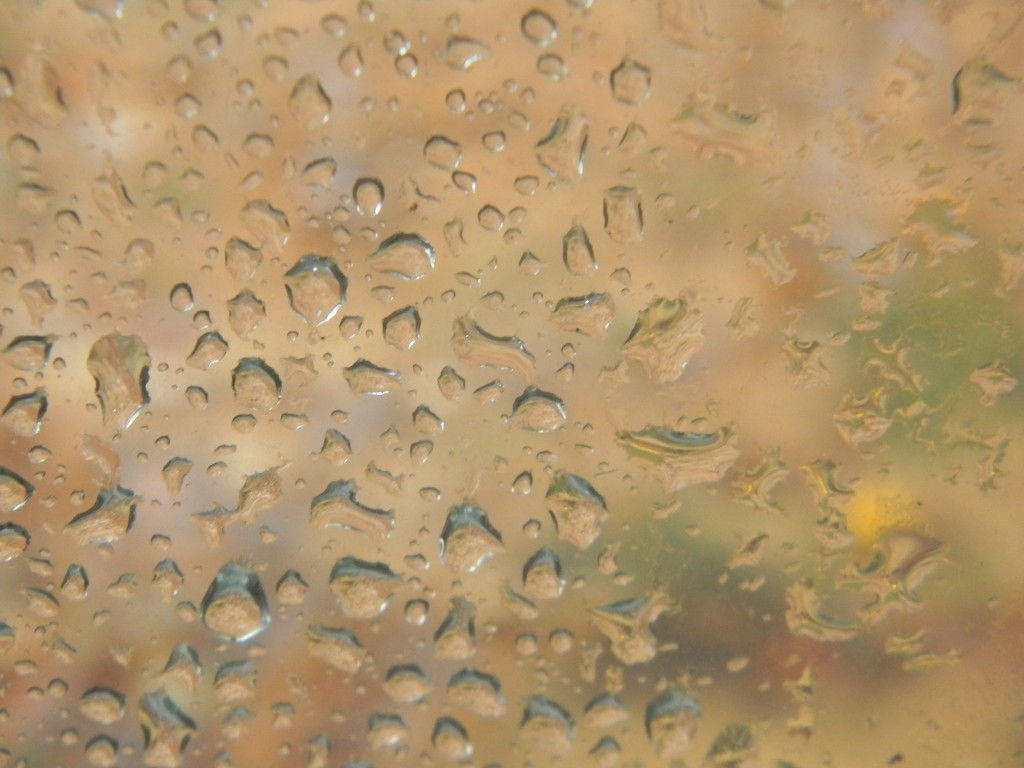 Rain Droplets on Back Door by sfeldphotos