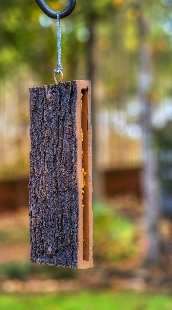 Hanging Woodpecker Feeder by k9photo