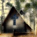 chapel in the woods by amyk