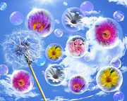 13th Nov 2020 - Flower Bubbles