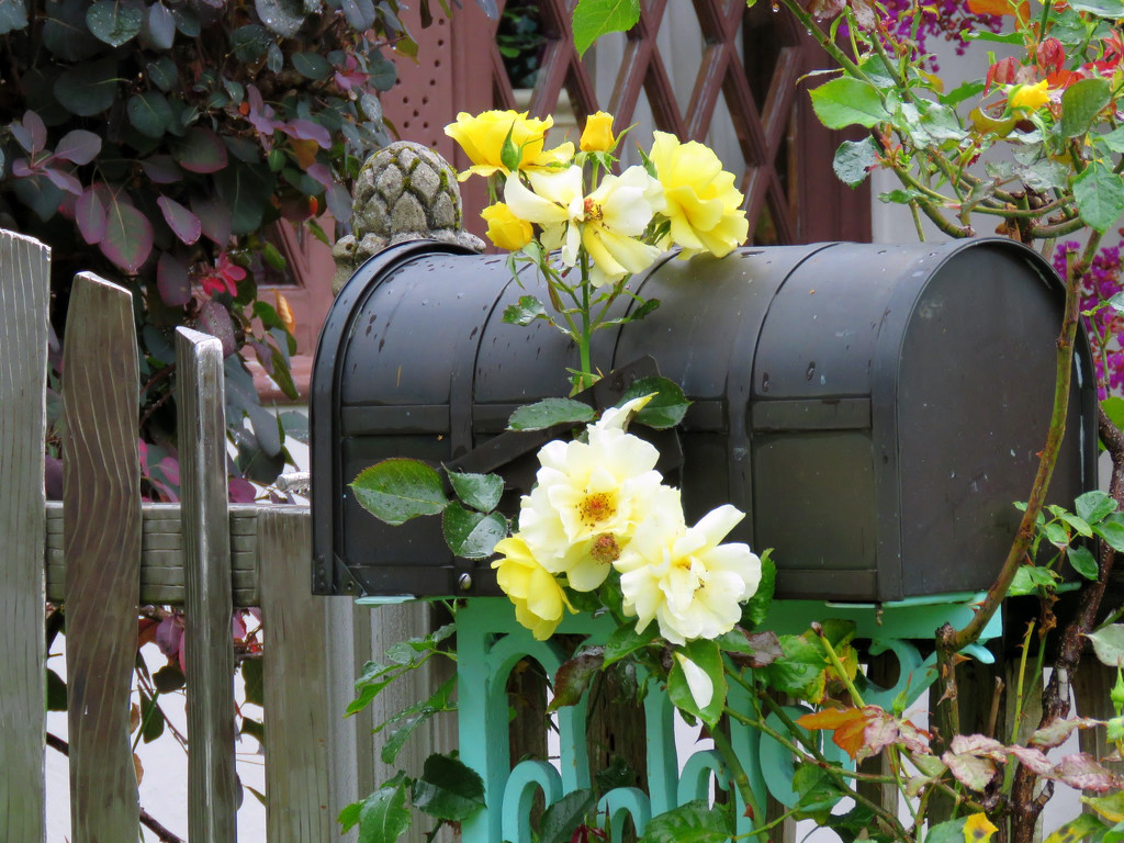 Quaint Mailbox by seattlite