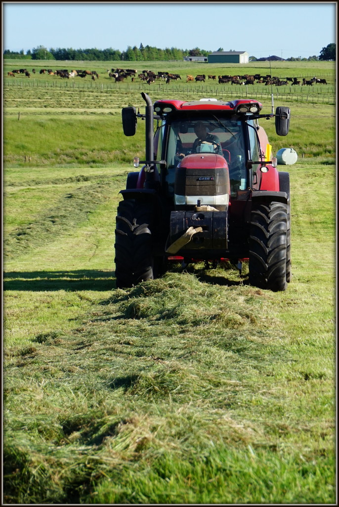 Silage by dide