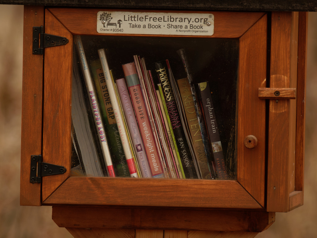 Free Library by rminer