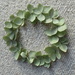 green wreath by anniesue