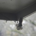 Woodpecker Upside Down On Porch  by sfeldphotos