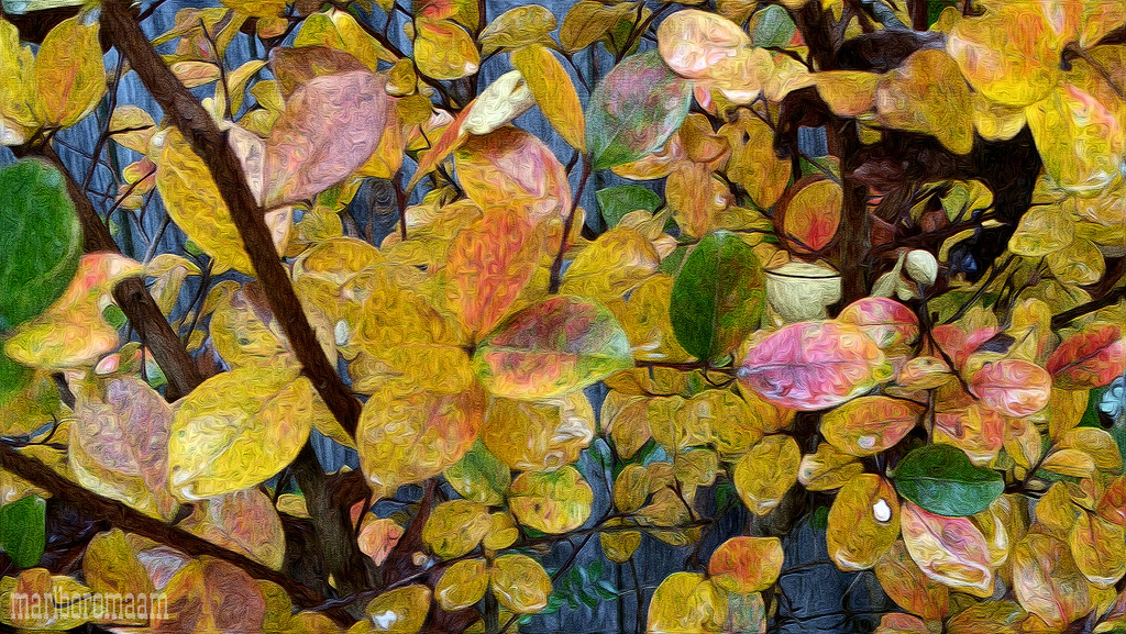 Painted fall crepe myrtle leaves... by marlboromaam
