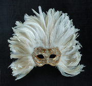 11th Nov 2020 - Venetian Carnival Mask