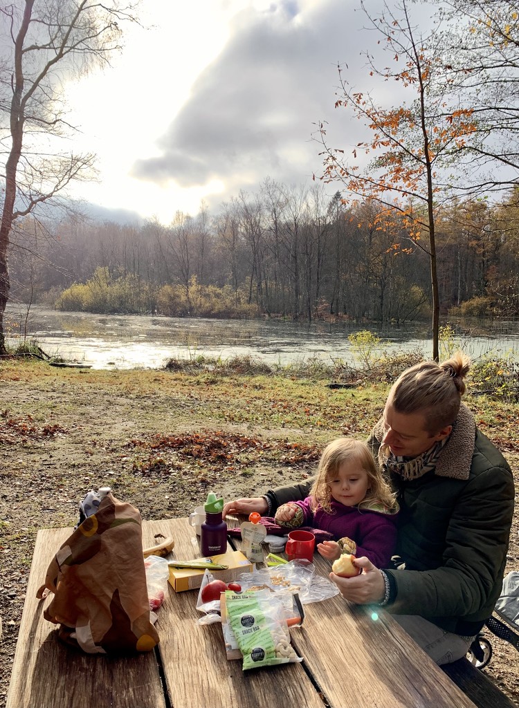 A November picnic by lily