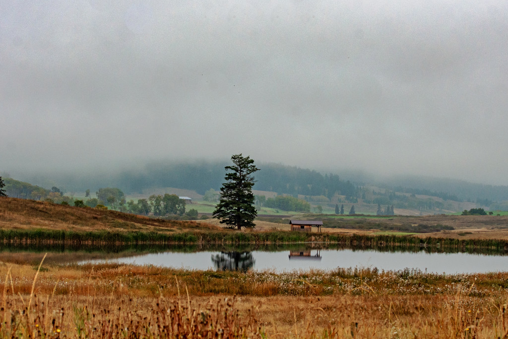 Leaving Williams Lake by farmreporter