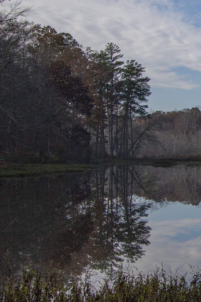 Beaver Lake Reflections - Southeast Corner by timerskine