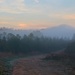 LHG-4606- Path to morning fog by rontu