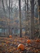 14th Nov 2020 - Re-Purposed Pumpkins