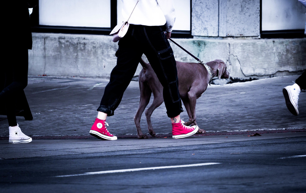 walking red by adi314