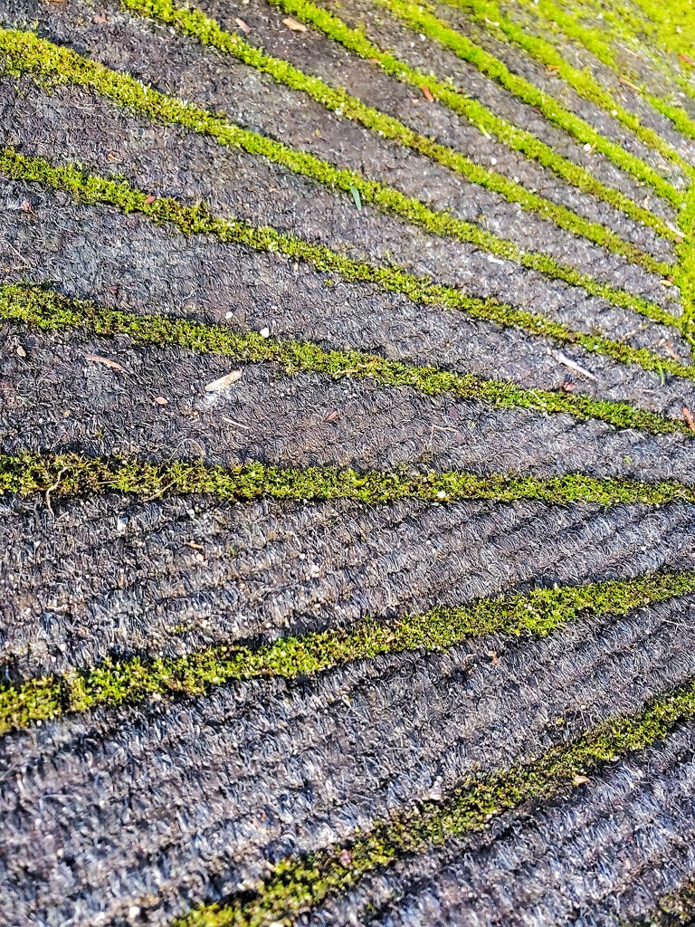 moss rug by eDorre · 365 Project