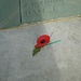 Fleet Air Arm Memorial 1939-1945 by quietpurplehaze