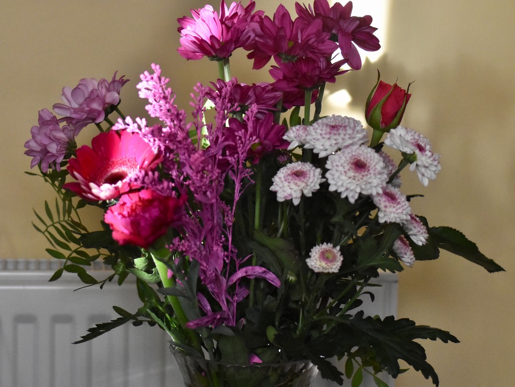 Flowers I bought today  by rosiekind