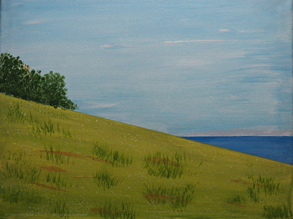 the grassy knoll at the beaches by summerfield