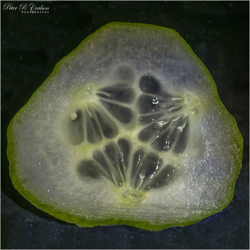 Cucumber Macro by pcoulson
