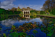 15th Nov 2020 - 1115 - Queen Mother's Garden, Walmer Castle