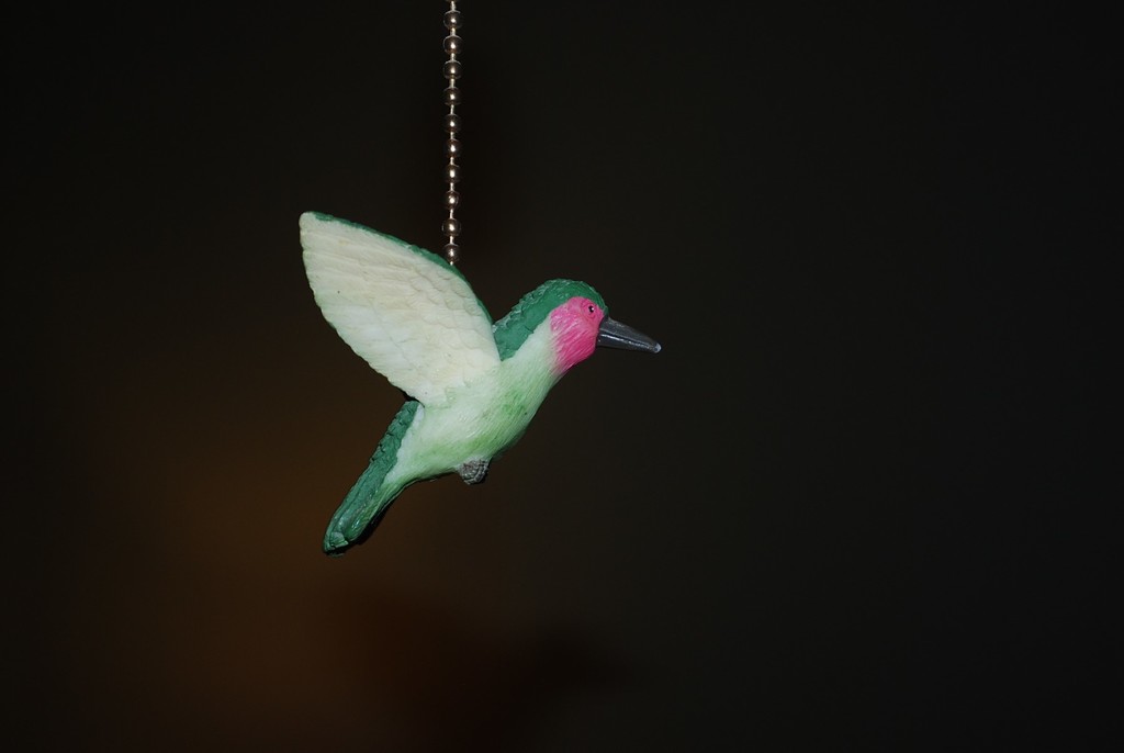 simple hummingbird by stillmoments33