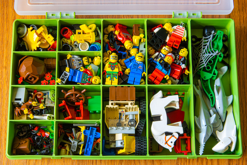 (Day 276) - Colorful Compartmentalization by cjphoto